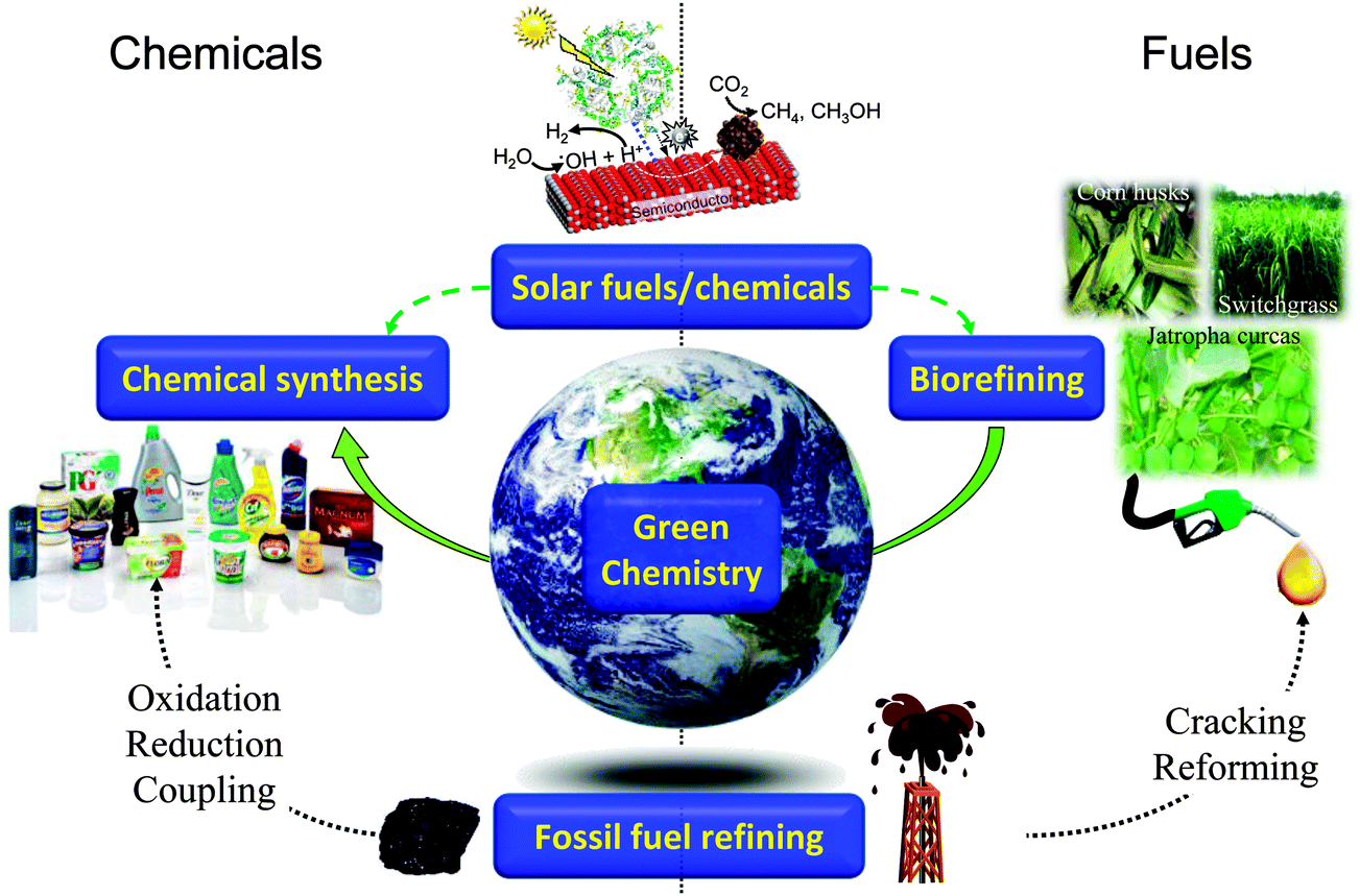 Heterogeneous catalysis for sustainable biodiesel production via