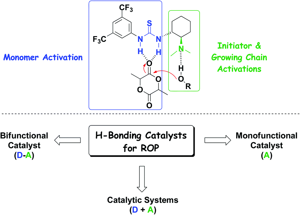 Hydrogen Bonding Organocatalysts For Ring Opening Polymerization Green Chemistry Rsc Publishing