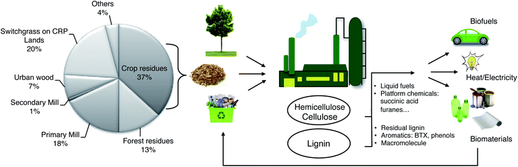 The pros and cons of lignin valorisation in an integrated biorefinery ...