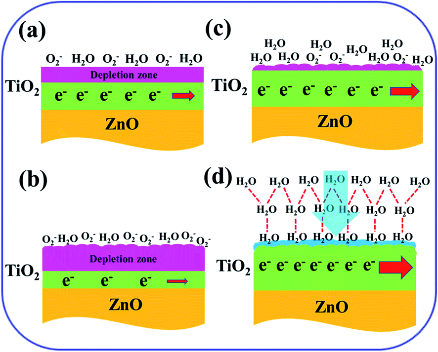 Performance Enhancement Of Humidity Sensors Made From Oxide Heterostructure Nanorods Via Microstructural Modifications Rsc Advances Rsc Publishing