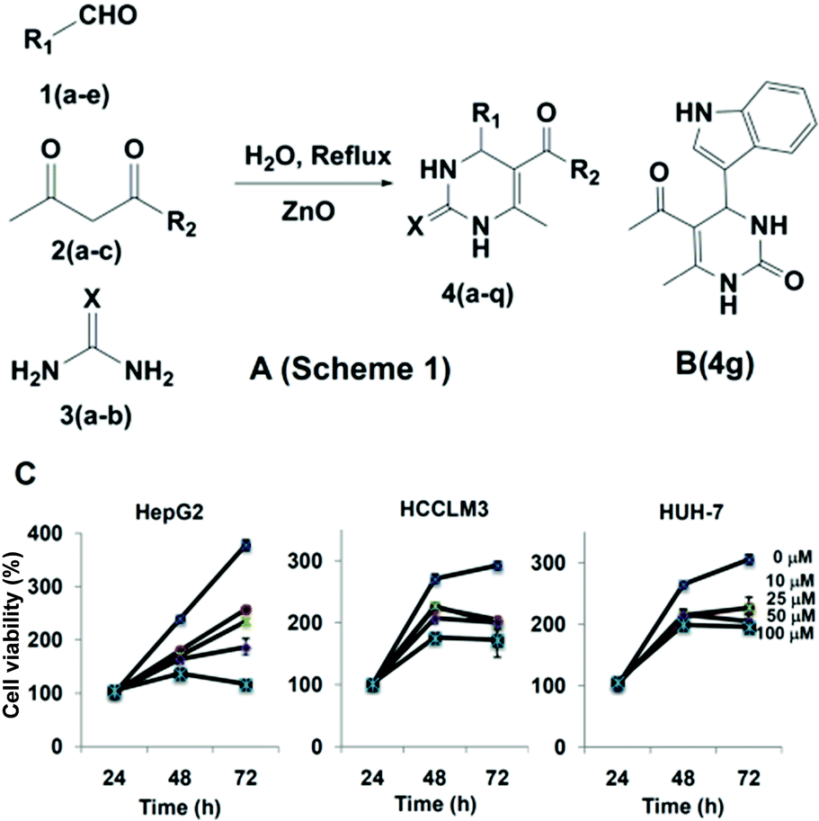 synthesis-biological-evaluation-and-in-silico-and-in-vitro-mode-of-action-analysis-of-novel