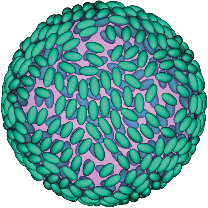 Timescales of emulsion formation caused by anisotropic particles - Soft ...