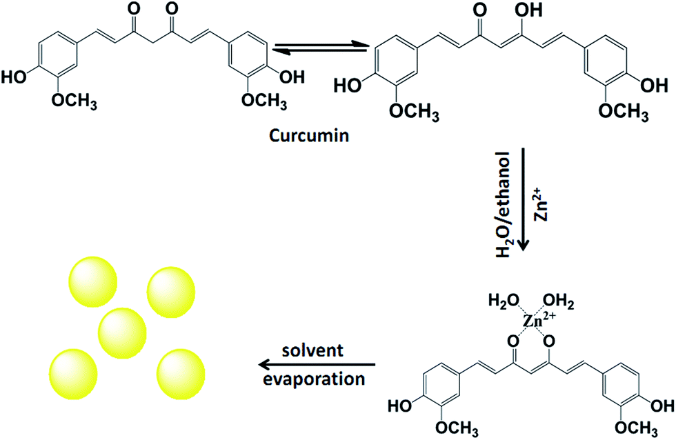 Bifunctional Ph Sensitive Zn Ii Curcumin Nanoparticles Sirna Effectively Inhibit Growth Of Human Bladder Cancer Cells In Vitro And In Vivo Journal Of Materials Chemistry B Rsc Publishing