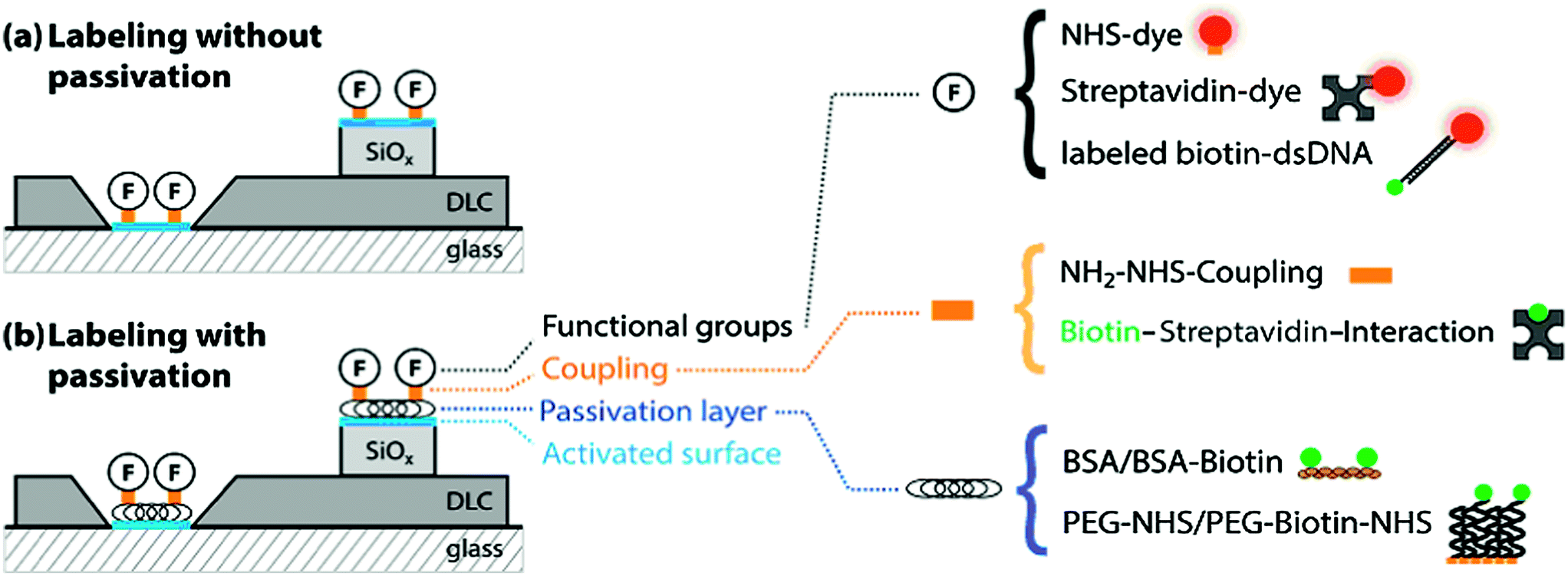 Selective Functionalization Of Patterned Glass Surfaces - Journal Of ...