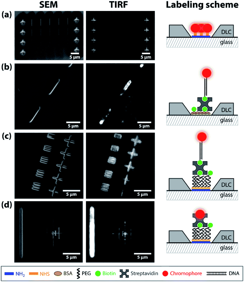 Selective functionalization of patterned glass surfaces - Journal of ...
