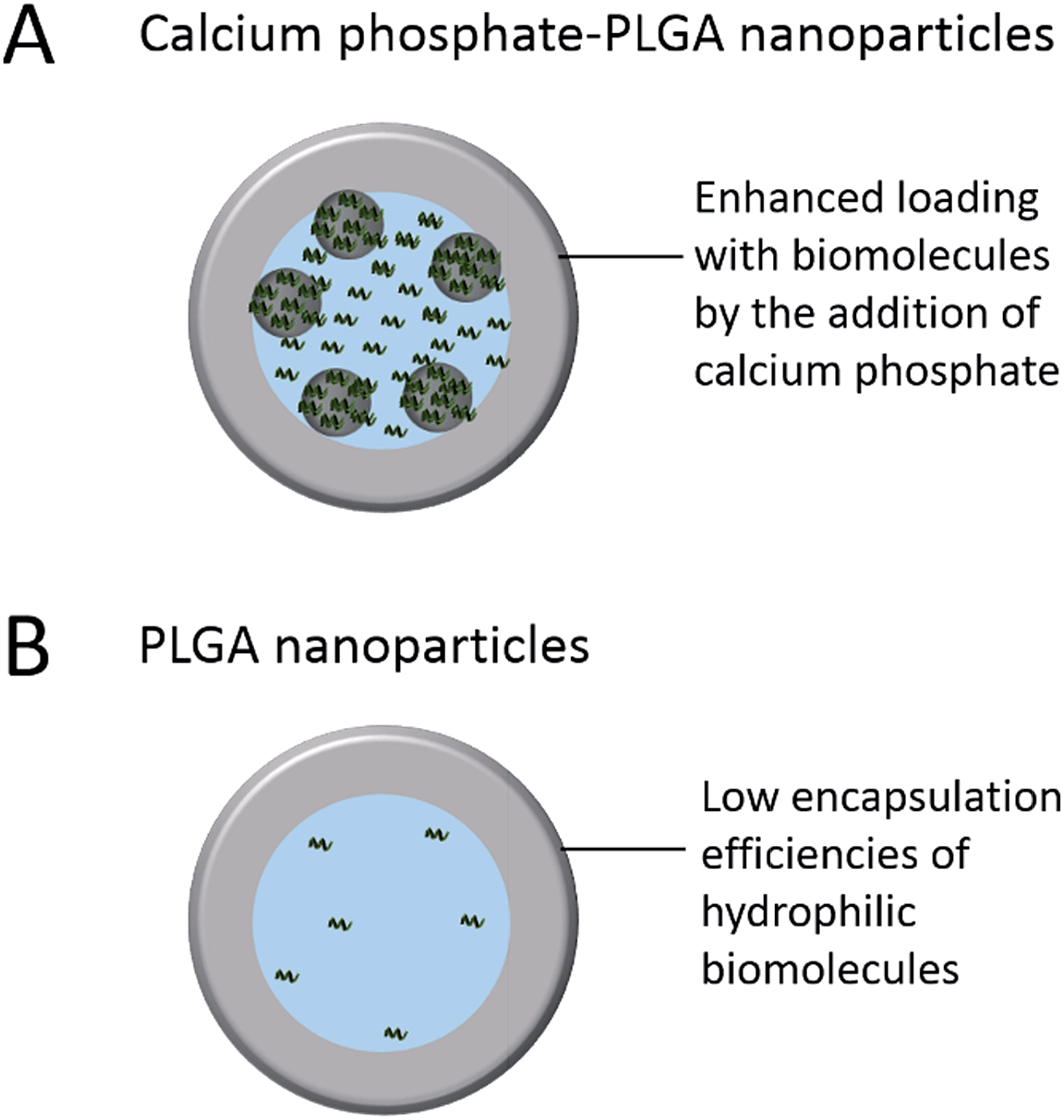 Calcium Phosphate Structure