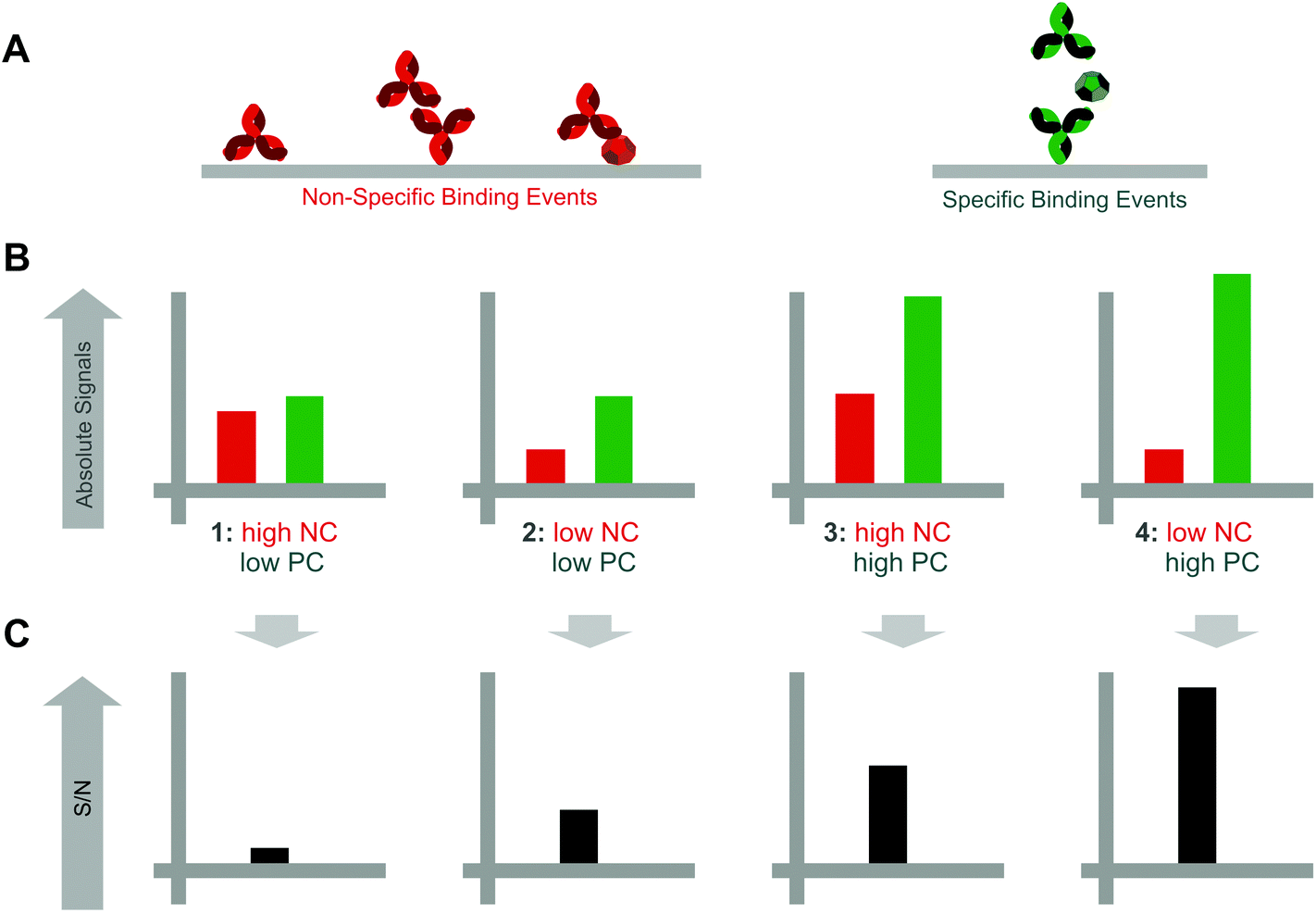 Highly Sensitive Ligand Binding Assays In Pre Clinical And Clinical Applications Immuno Pcr And Other Emerging Techniques Analyst Rsc Publishing Doi 10 1039 C5an002k