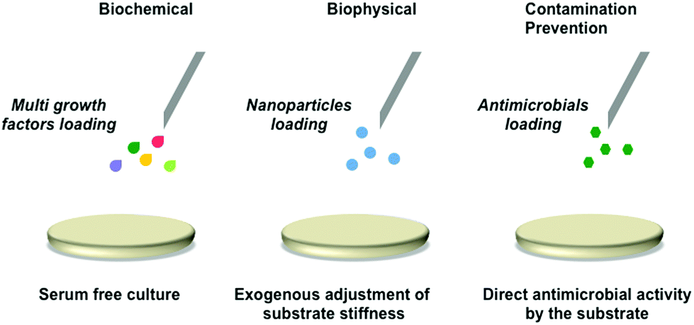 Priming Cells For Their Final Destination Microenvironment