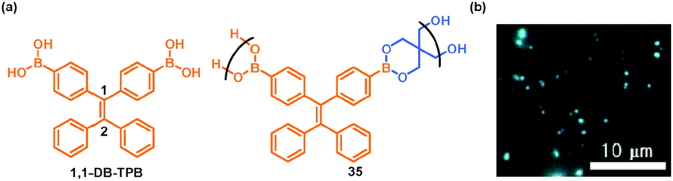 Hierarchical supramolecules and organization using boronic acid