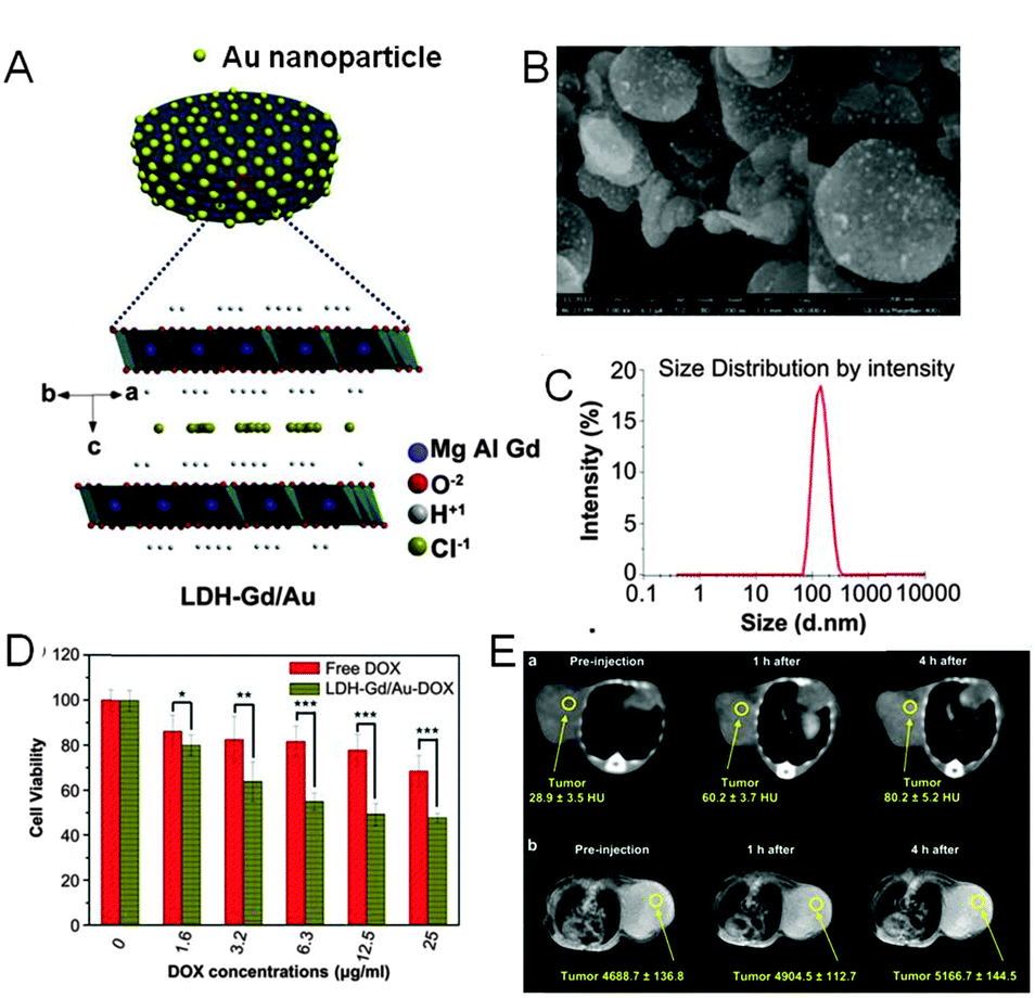 Hierarchical layered double hydroxide nanocomposites Hierarchical layered double hydroxide nanocomposites