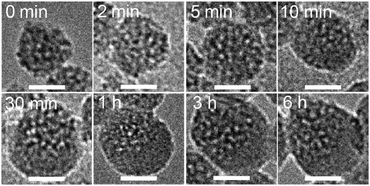 image file: c4cc10064f-f3.tif