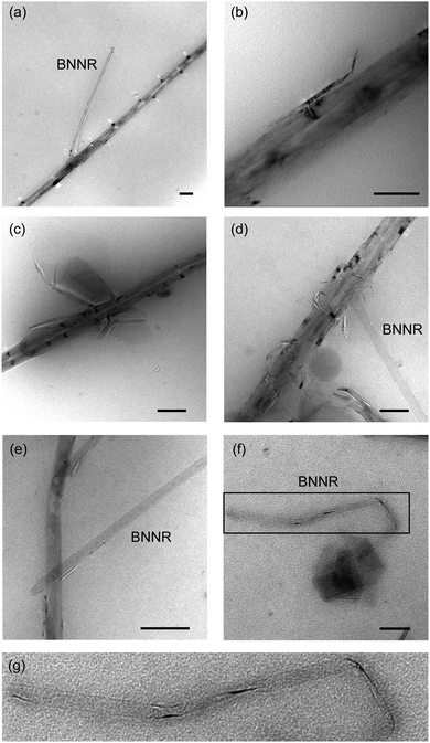 image file: c5cc00388a-f2.tif