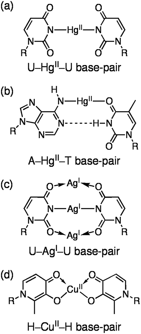 Structures Physicochemical Properties And Applications Of T Hg Ii T C Ag I C And Other Metallo Base Pairs Chemical Communications Rsc Publishing Doi 10 1039 C5cch