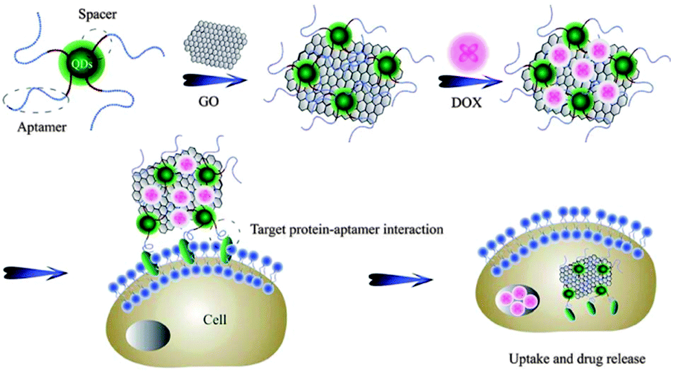 Recent applications of carbon nanomaterials in fluorescence 