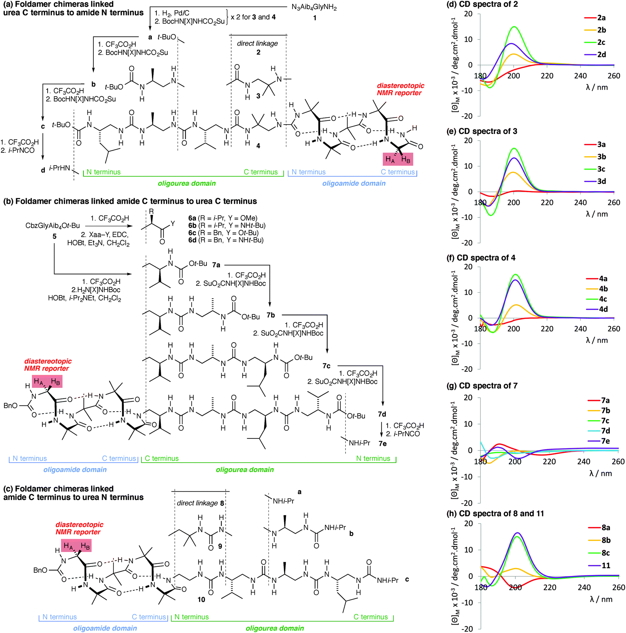 Conformational Cooperativity Between Helical Domains Of Differing Geometry In Oligoamide Oligourea Foldamer Chimeras Chemical Communications Rsc Publishing Doi 10 1039 C5ccc