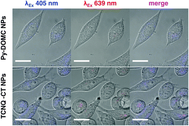 image file: c5cc03822g-f3.tif