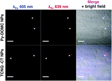 image file: c5cc03822g-f4.tif