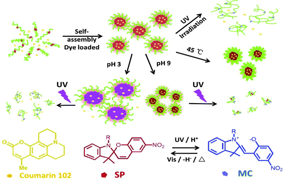 Photo, pH, and thermo triple-responsive spiropyran-based copolymer