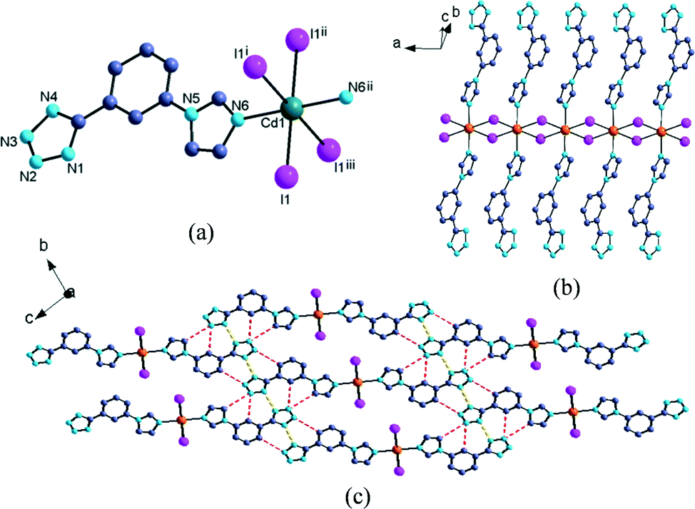 Assembly of Cd( ii ) coordination polymers: structural variation