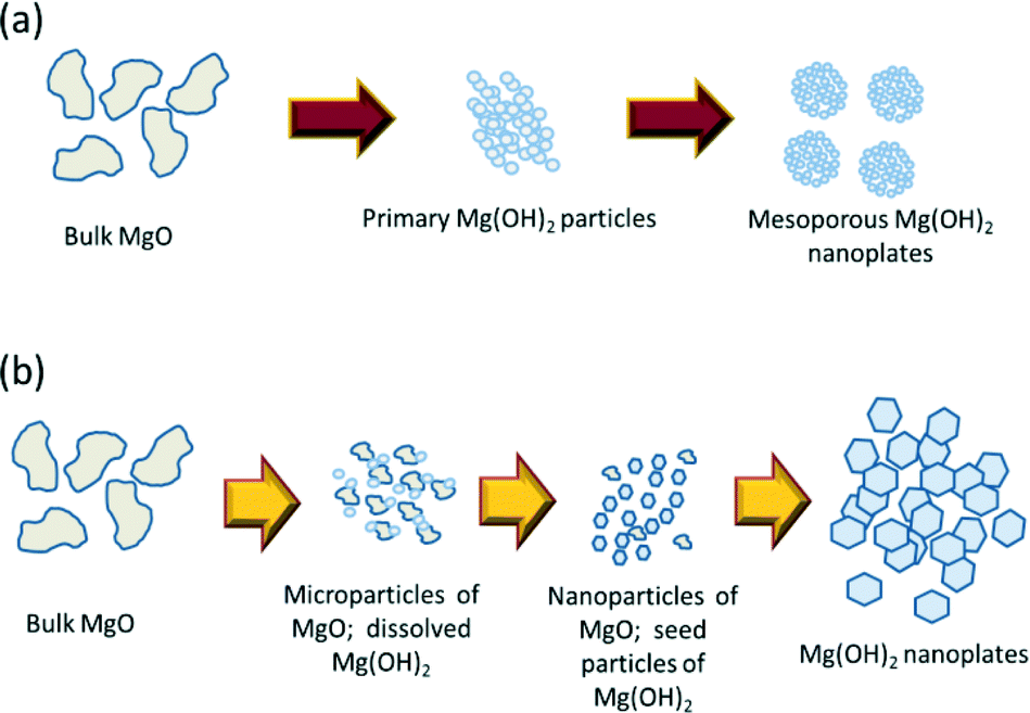 a The mechanism of Mg(OH)2 formation by means of the ionic