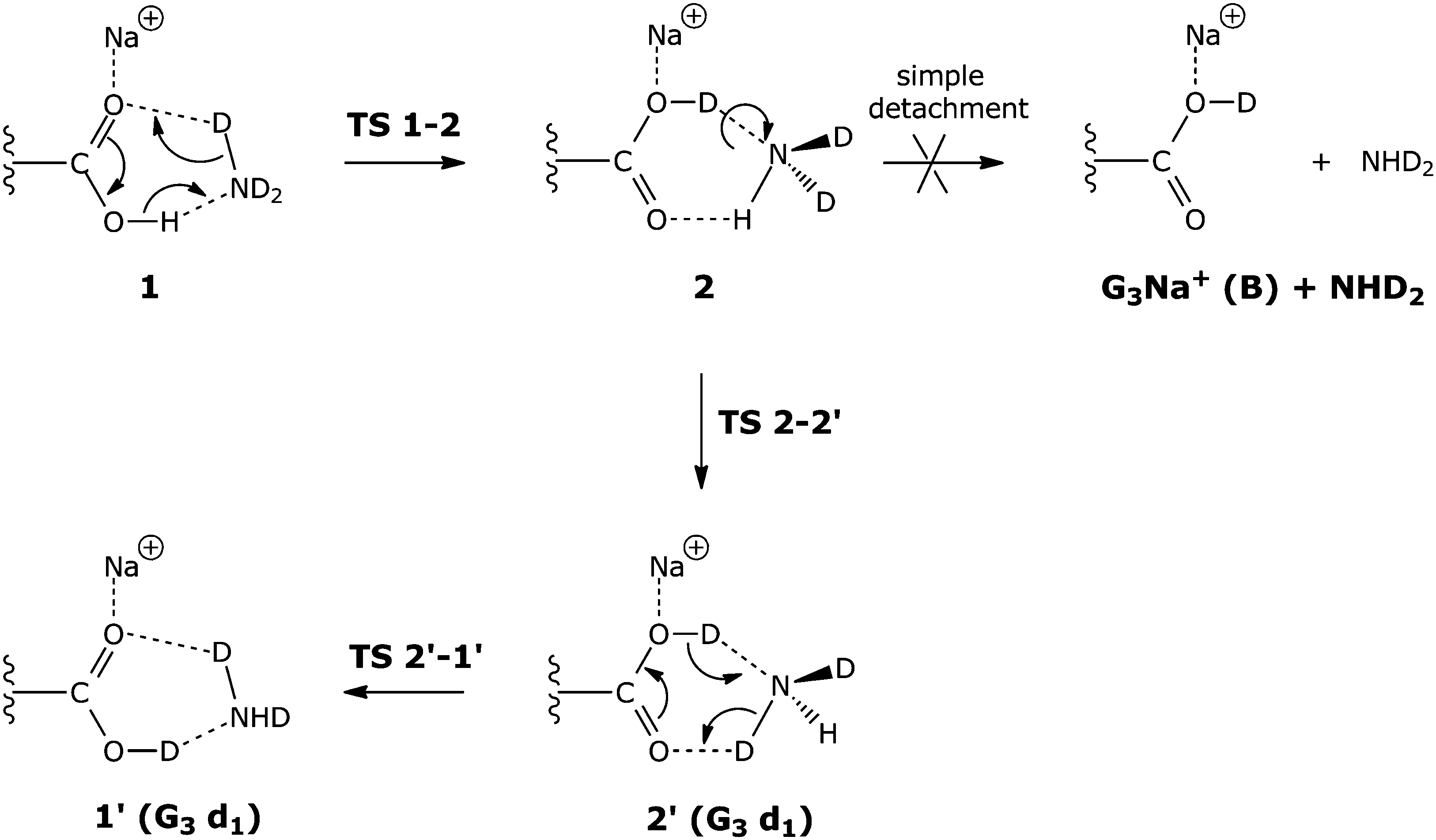 m  Probing the mechanisms and dynamics of gas phase hydrogen