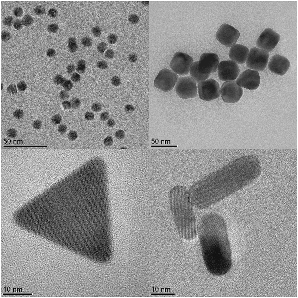 Hybrid nanostructures for SERS: materials development and