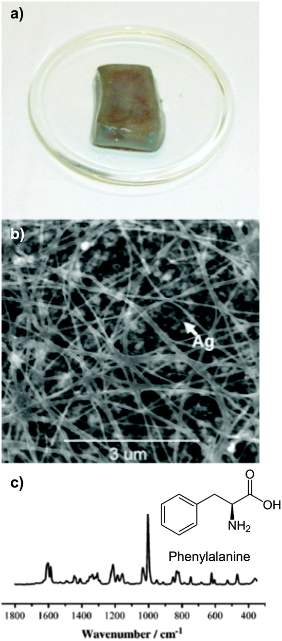 Hybrid nanostructures for SERS: materials development and