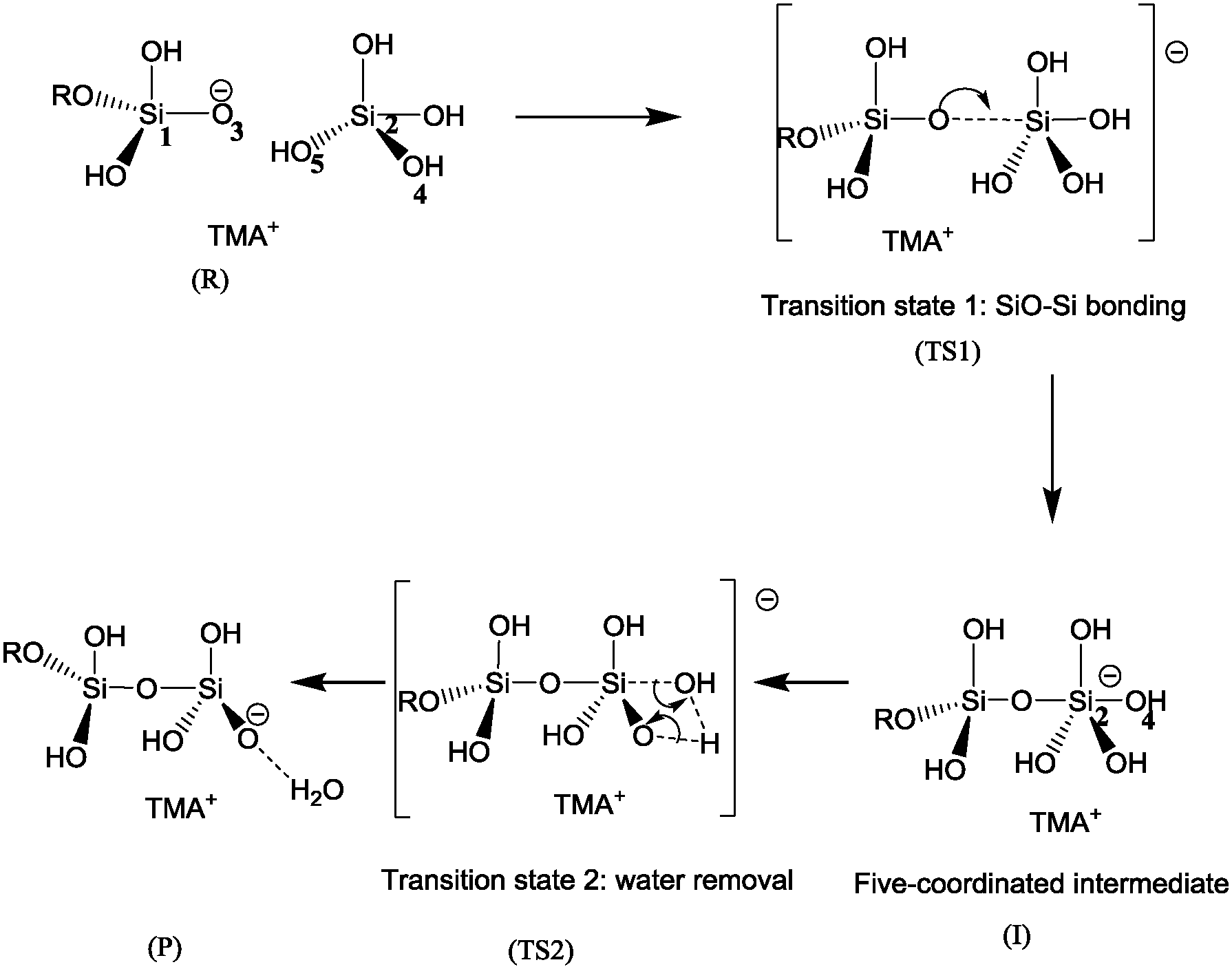 Tetramethylammonium silicate msds
