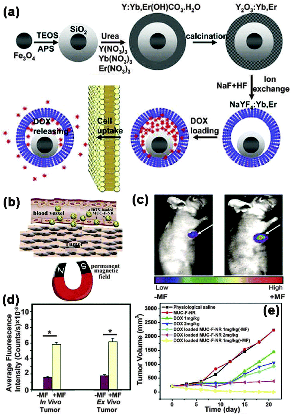 “ショータイム”ブラン SP Current advances in lanthanide ion (Ln 3+ )-based