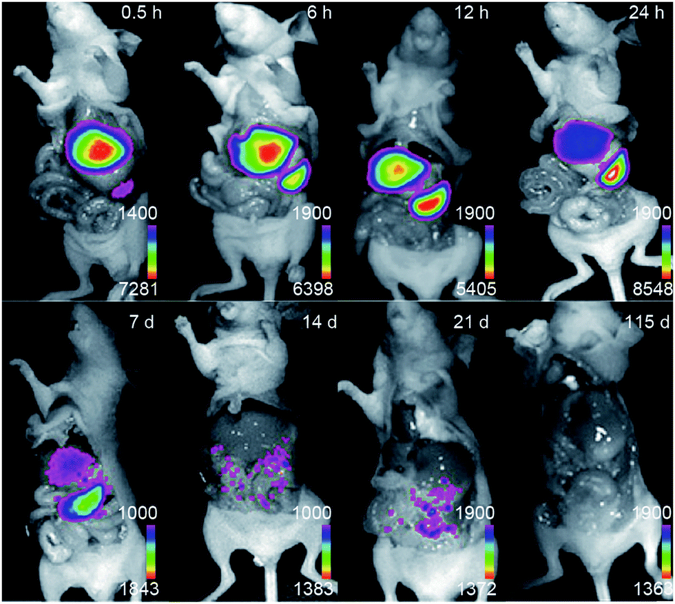 Incorporating Ag Nanocrystals with LaFeO3 Photocathodes