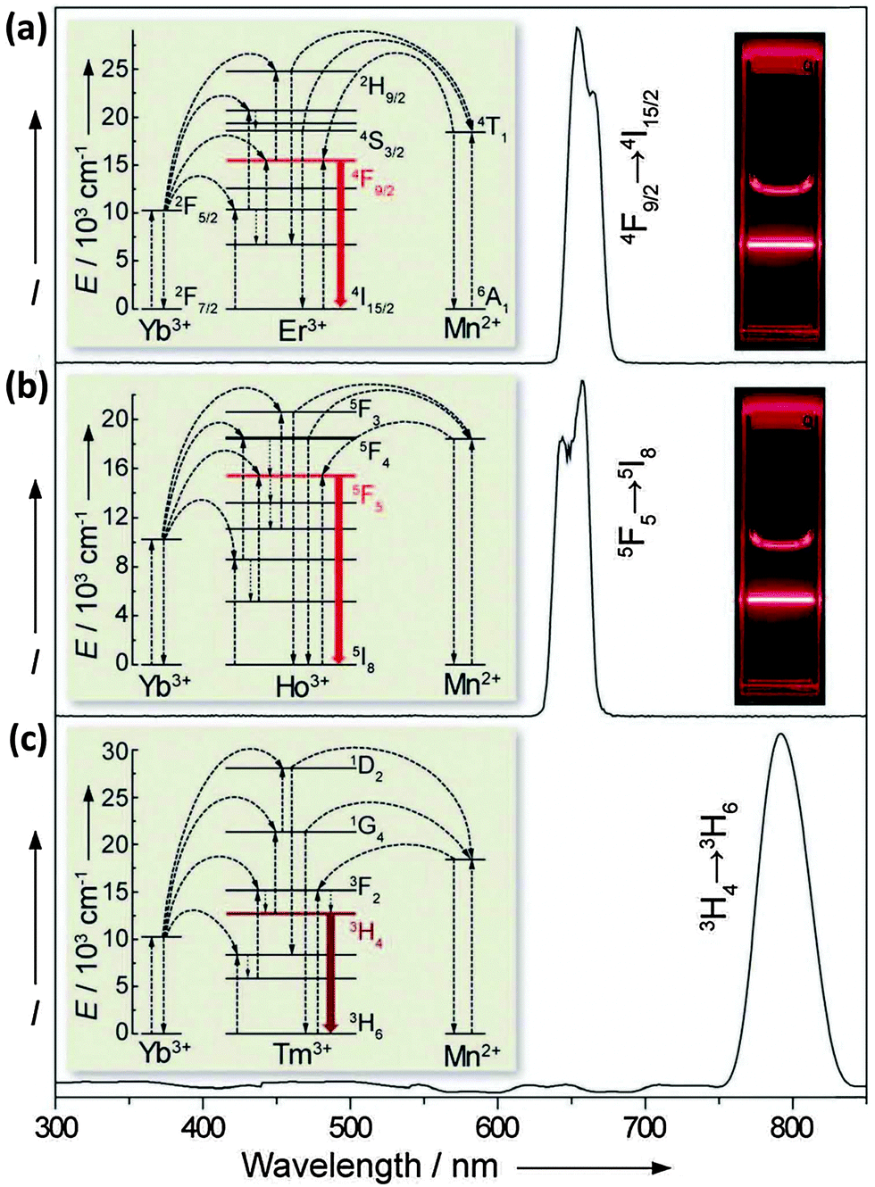 Lanthanide-doped upconversion nano-bioprobes: electronic Lanthanide-doped upconversion nano-bioprobes: electronic