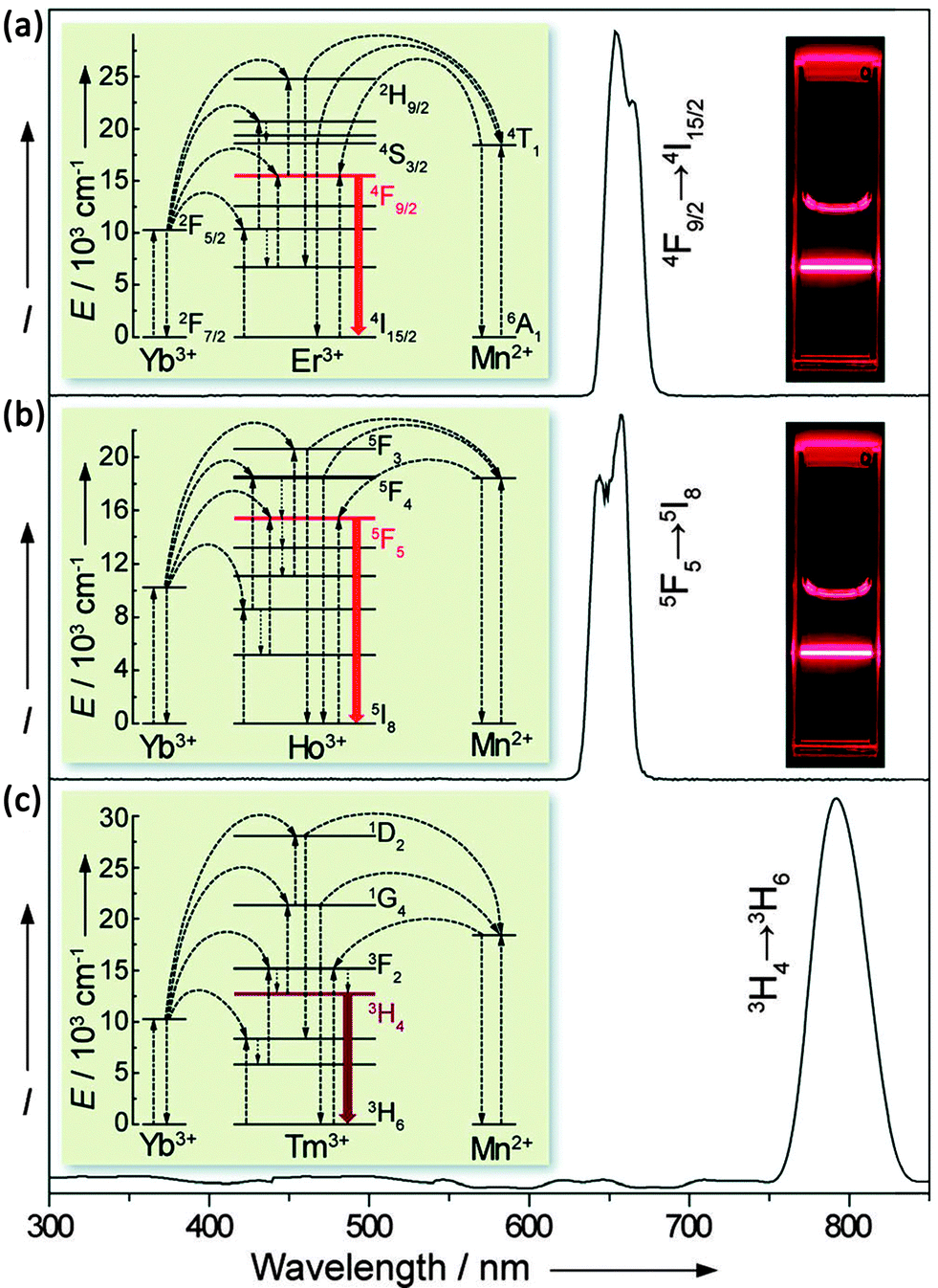 Energy transfer in lanthanide upconversion studies for Energy transfer in lanthanide upconversion studies for
