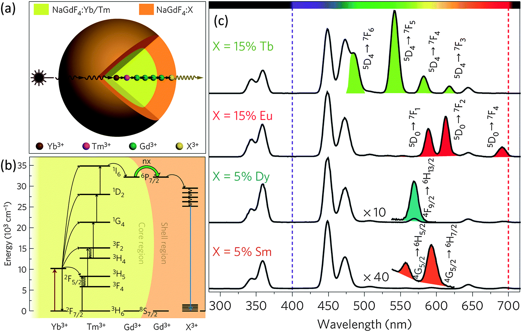 Energy transfer in lanthanide upconversion studies for