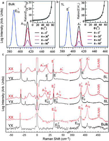 1007専用ページ Phonon and Raman scattering of two-dimensional transition metal