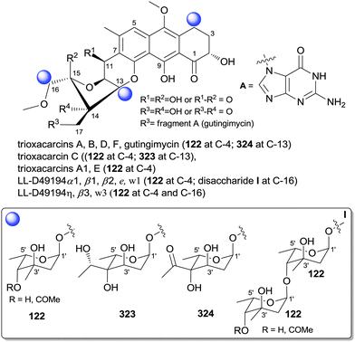 A comprehensive review of glycosylated bacterial natural products 