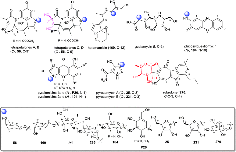 A comprehensive review of glycosylated bacterial natural products