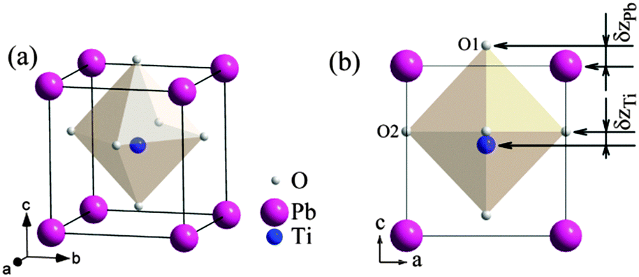 Negative thermal expansion in functional materials