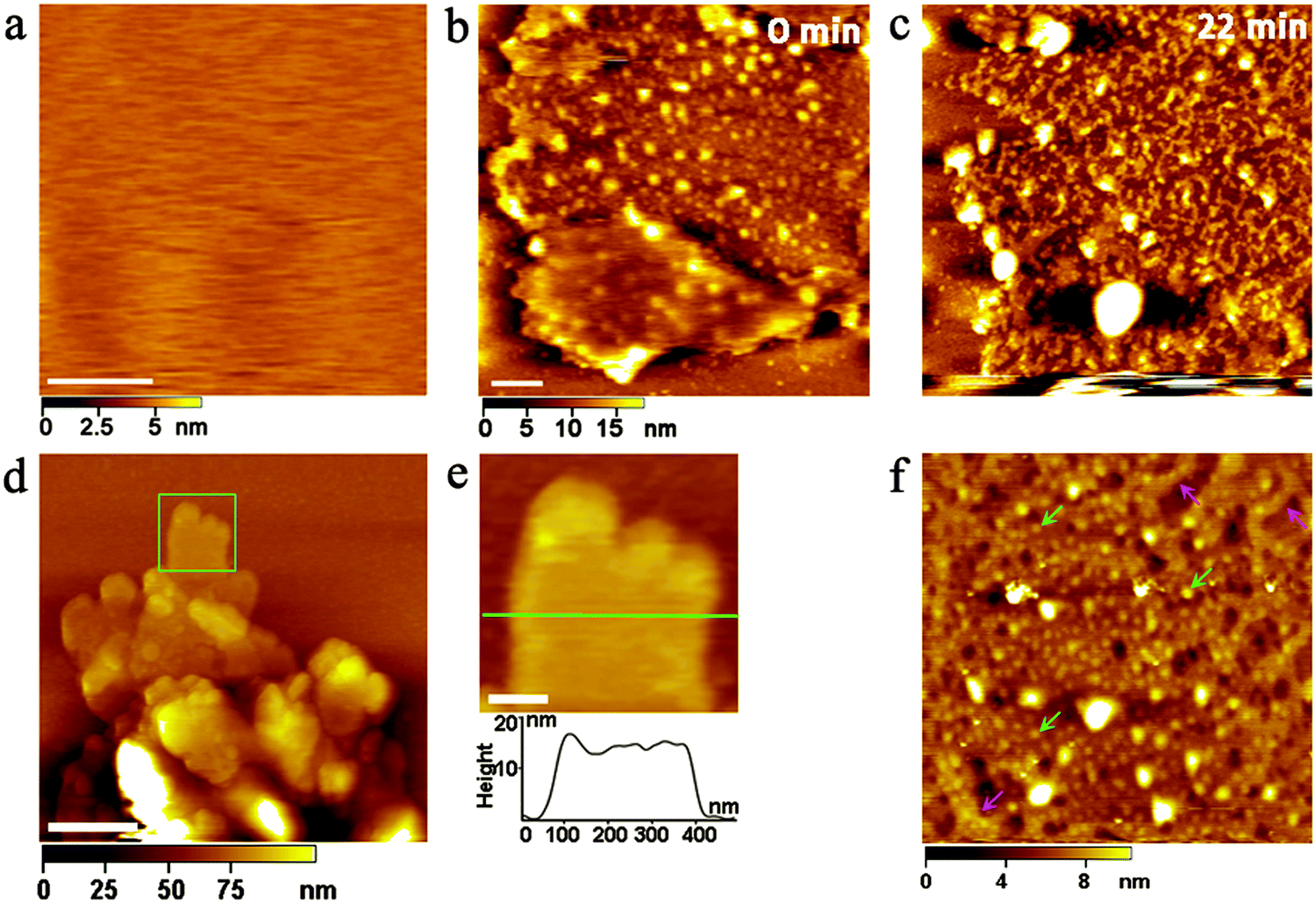 AFM images of the fabricated membranes: a PC, b PC-CS/GO-0.5, c