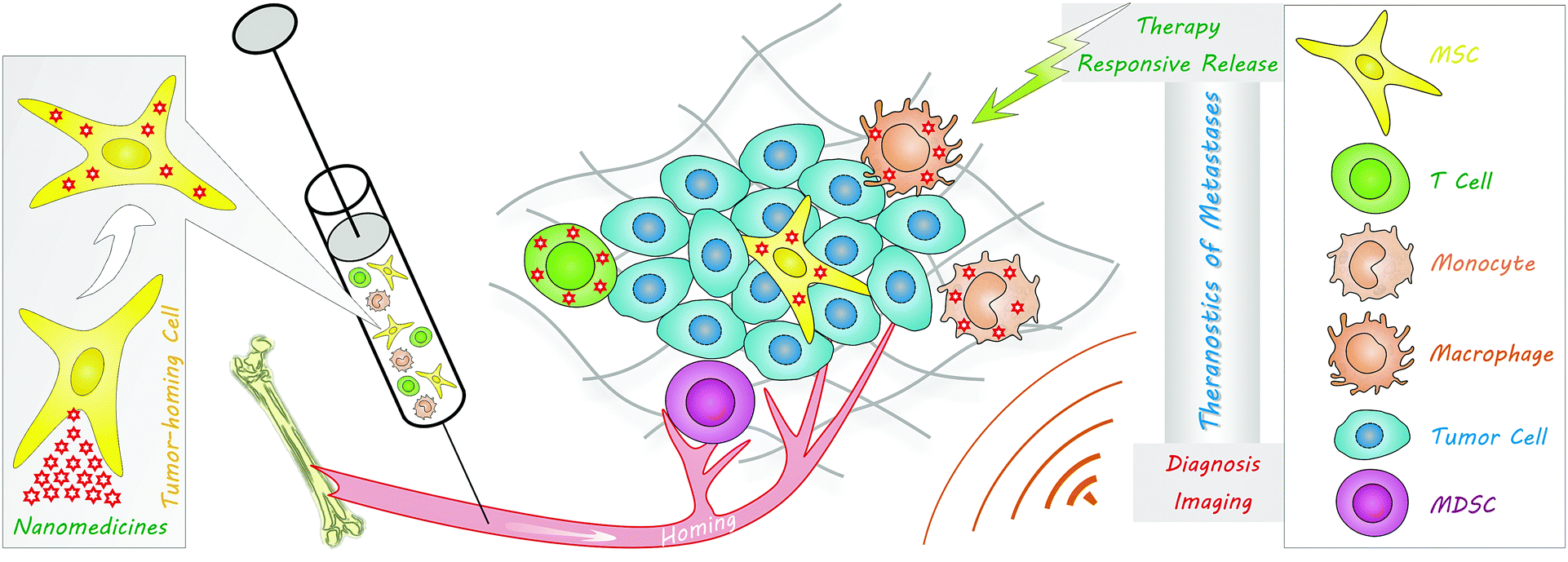 Saga. 限定CD Collector Development of individualized anti-metastasis strategies by