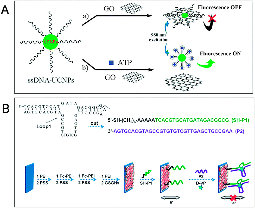 The graphene/nucleic acid nanobiointerface - Chemical