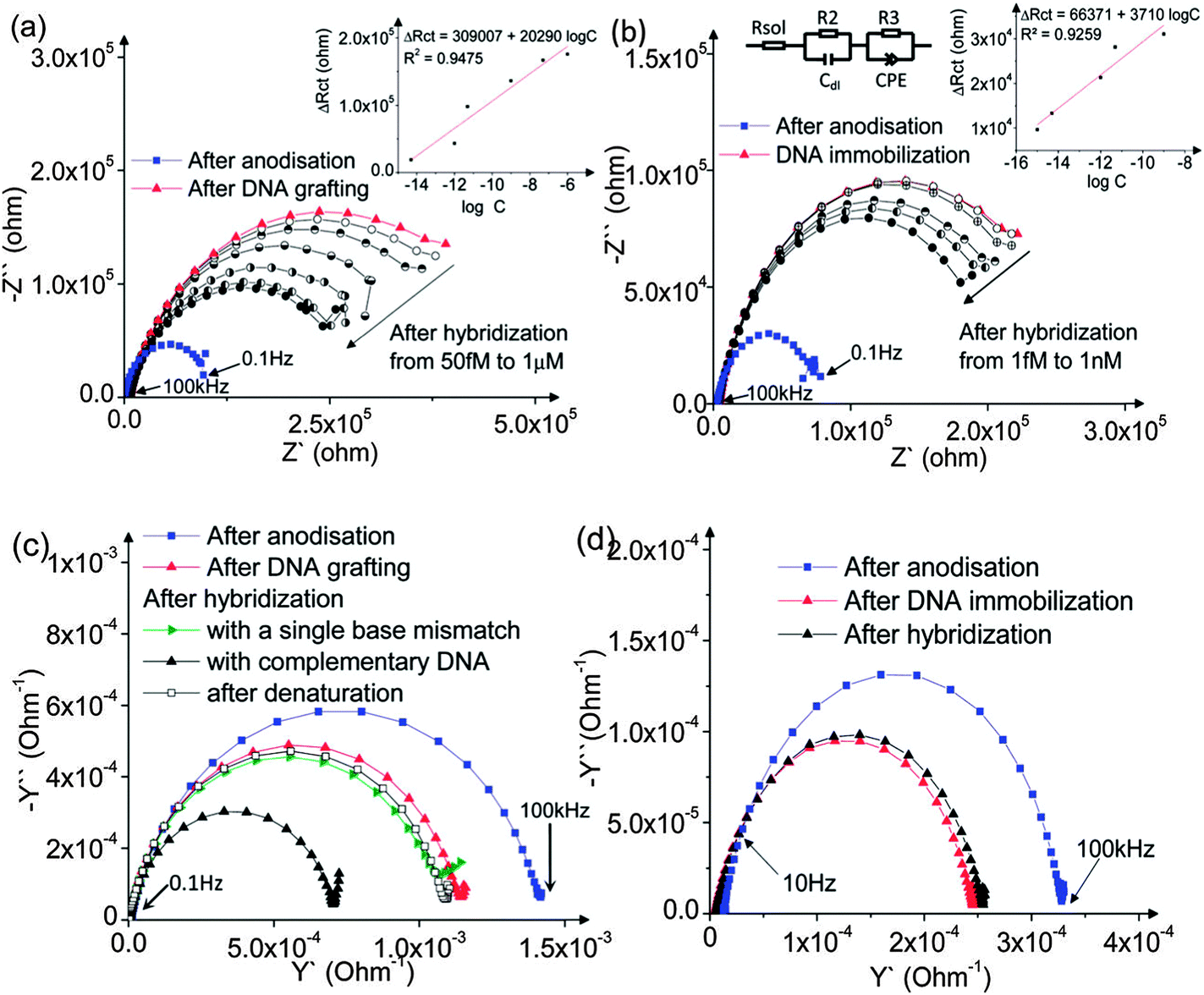 The graphene/nucleic acid nanobiointerface - Chemical