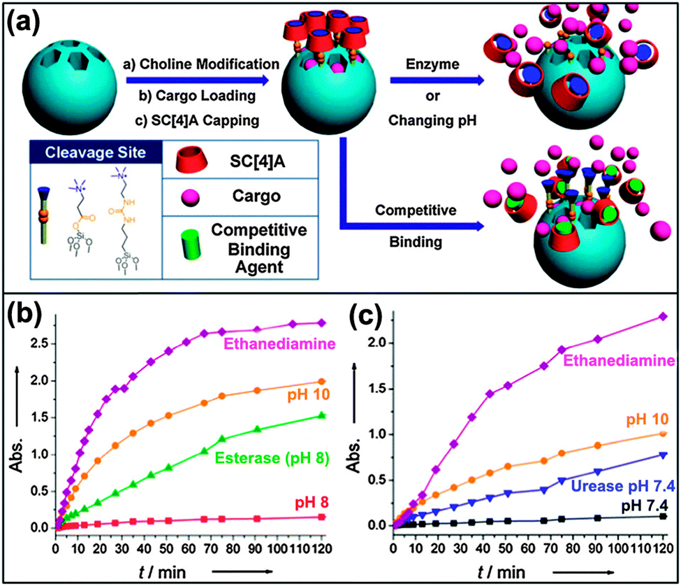 Molecular and supramolecular switches on mesoporous silica