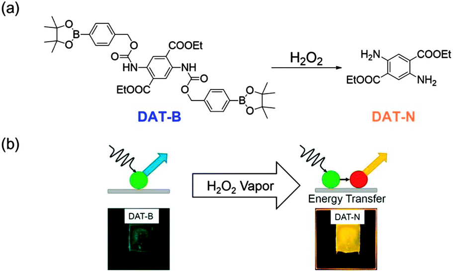 Tiara Luminescent films for chemo- and biosensing - Chemical