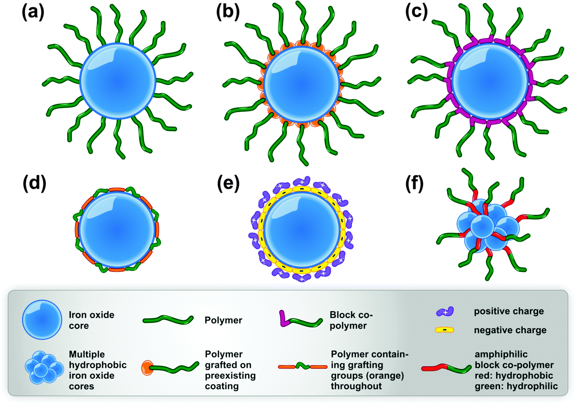 Design considerations for the synthesis of polymer coated iron oxide  nanoparticles for stem cell labelling and tracking using MRI - Chemical  Society Reviews (RSC Publishing) DOI:10.1039/C5CS00331H