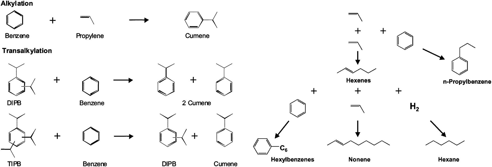 Recent advances of pore system construction in zeolite