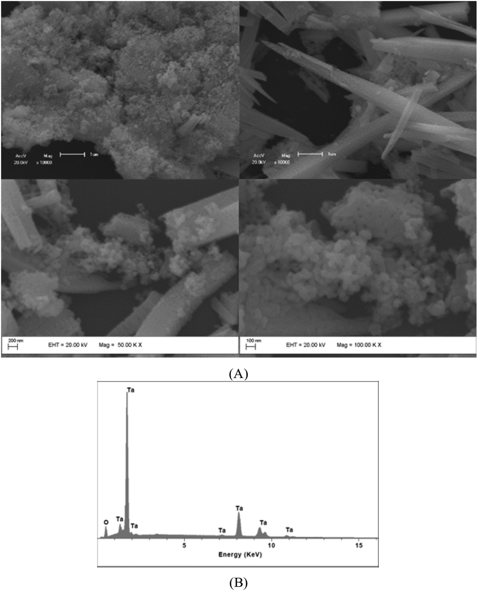 Synthesis and spectroscopic properties of luminescent tantalum( v