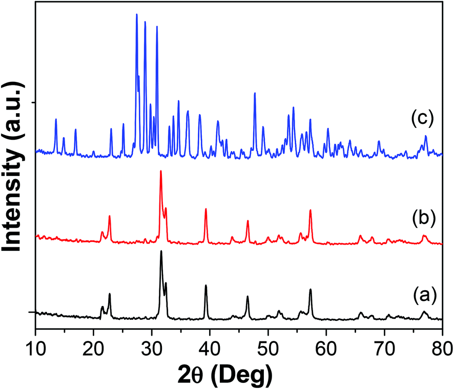 Enhanced magneto-dielectric coupling in multiferroic Fe and Gd 