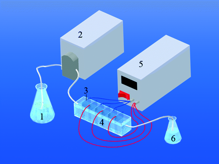 A dielectrophoresis-assisted adsorption approach significantly ...