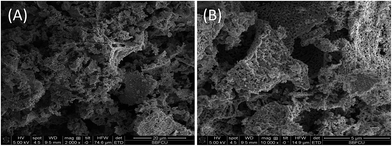 image file: c5fd00033e-f3.tif