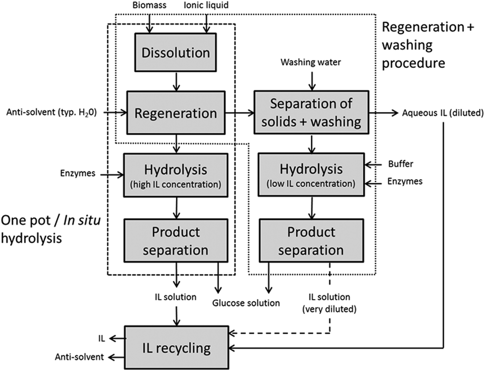 Enzymatic hydrolysis of lignocellulosic polysaccharides in the presence ...